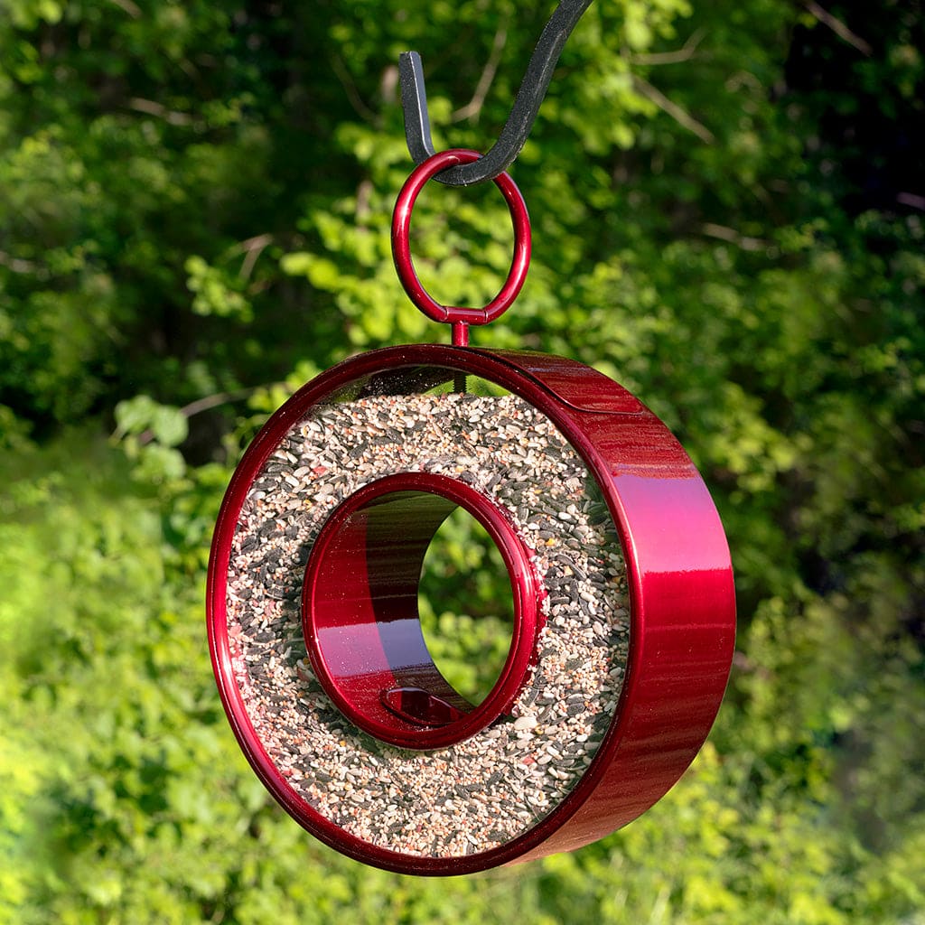 Just In Time Fly-Thru Ruby Red Bird Feeder
