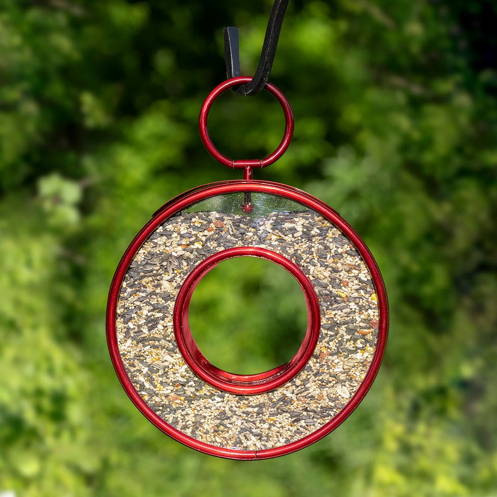 Just In Time Fly-Thru Ruby Red Bird Feeder