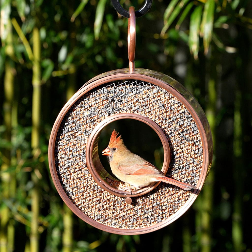 Just in Time Fly-Thru Copper Bird Feeder