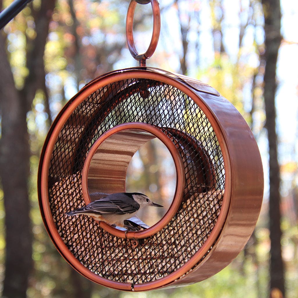 Just in Time Fly-Thru Copper Bird Feeder