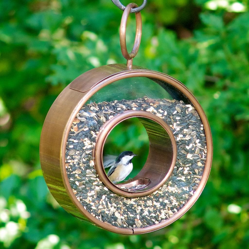 Circle FlyinThru Bird Feeder in Copper Finish