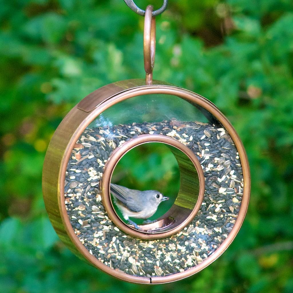 Circle FlyinThru Bird Feeder in Copper Finish