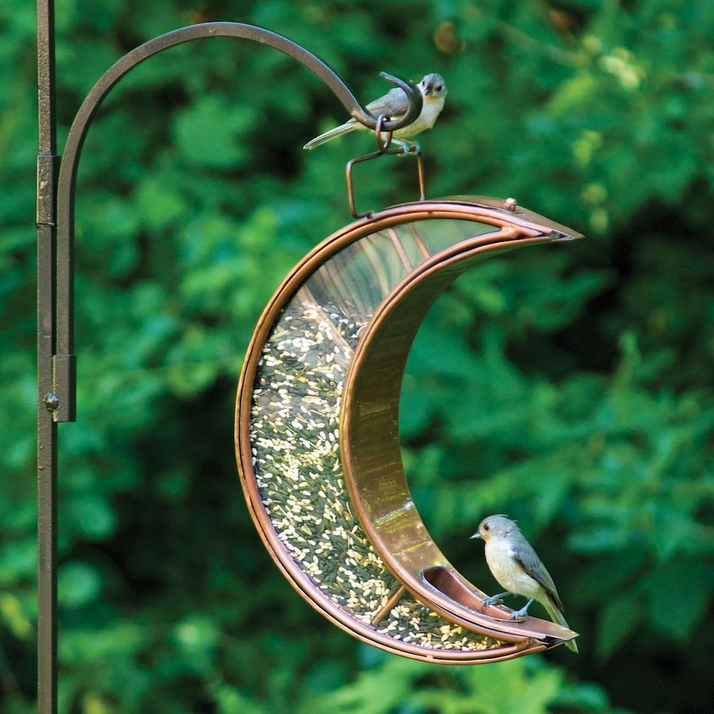 Crescent Moon Bird Feeder in Copper Finish