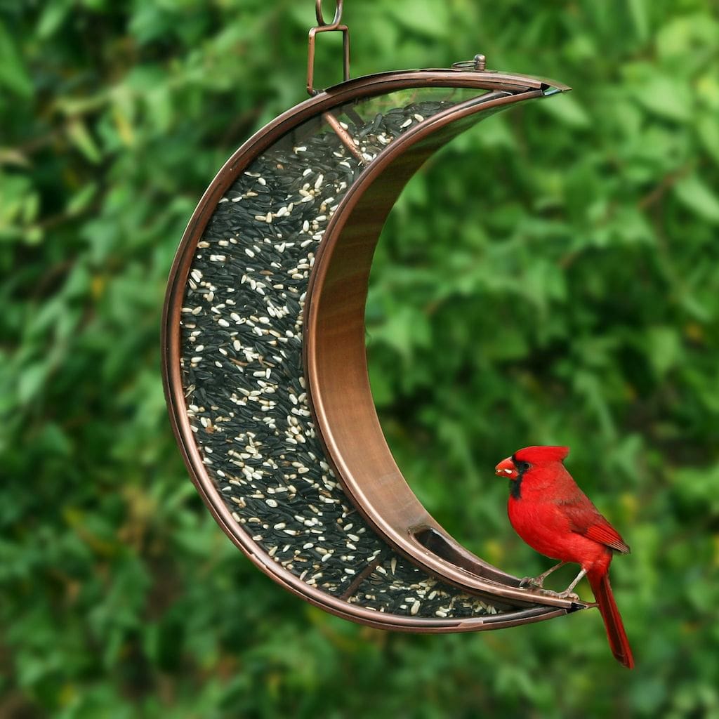 Crescent Moon Bird Feeder in Copper Finish