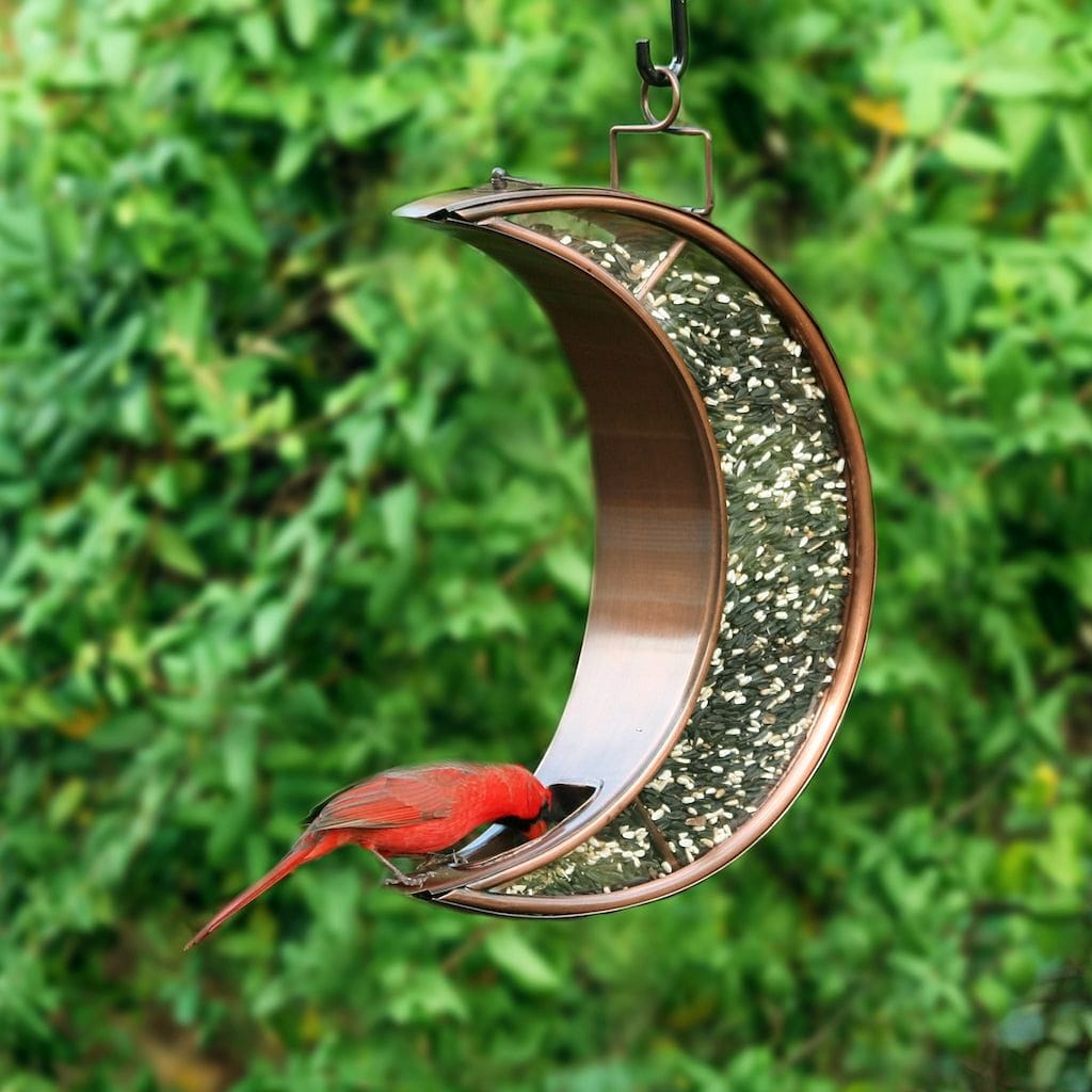 Crescent Moon Bird Feeder in Copper Finish