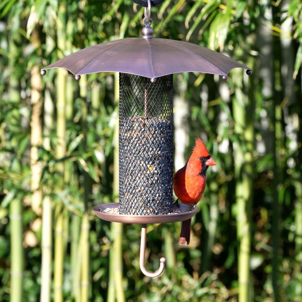 Rainy Day Umbrella-Inspired Bird Feeder