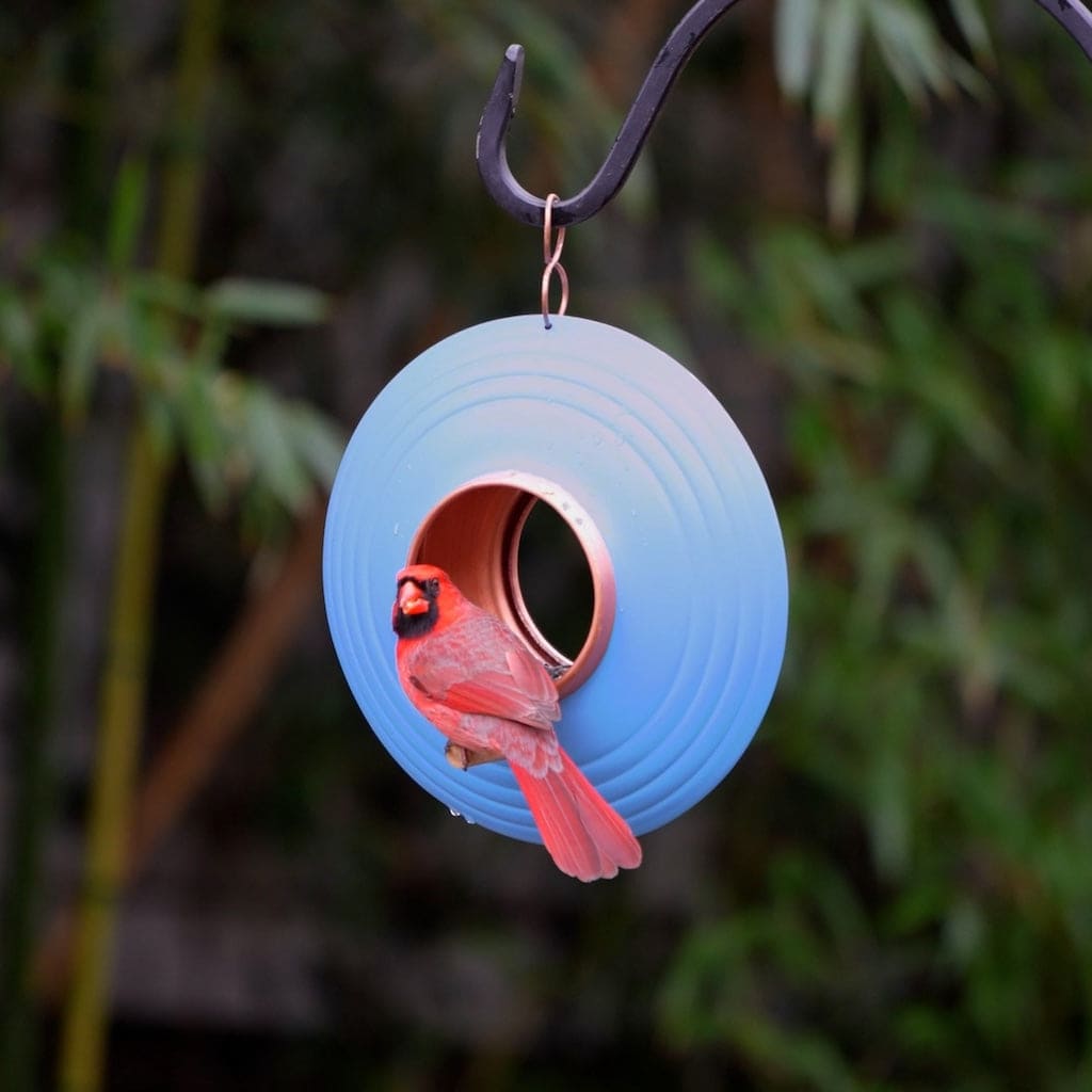 Azure Fly-Thru Bird Feeder