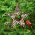 Copper Star FlyinThru Bird Feeder