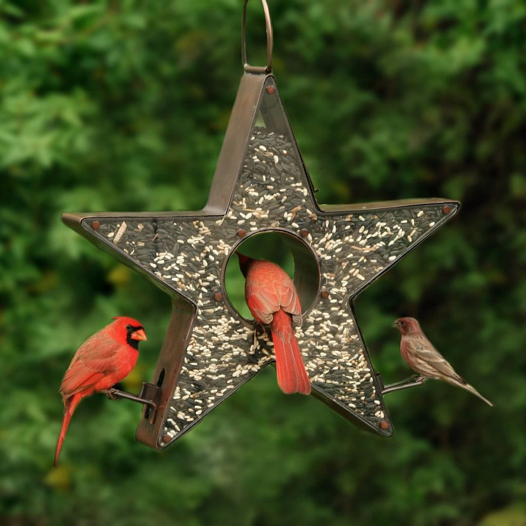 Copper Star FlyinThru Bird Feeder