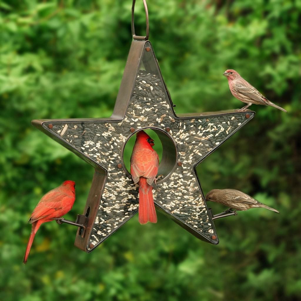 Copper Star FlyinThru Bird Feeder