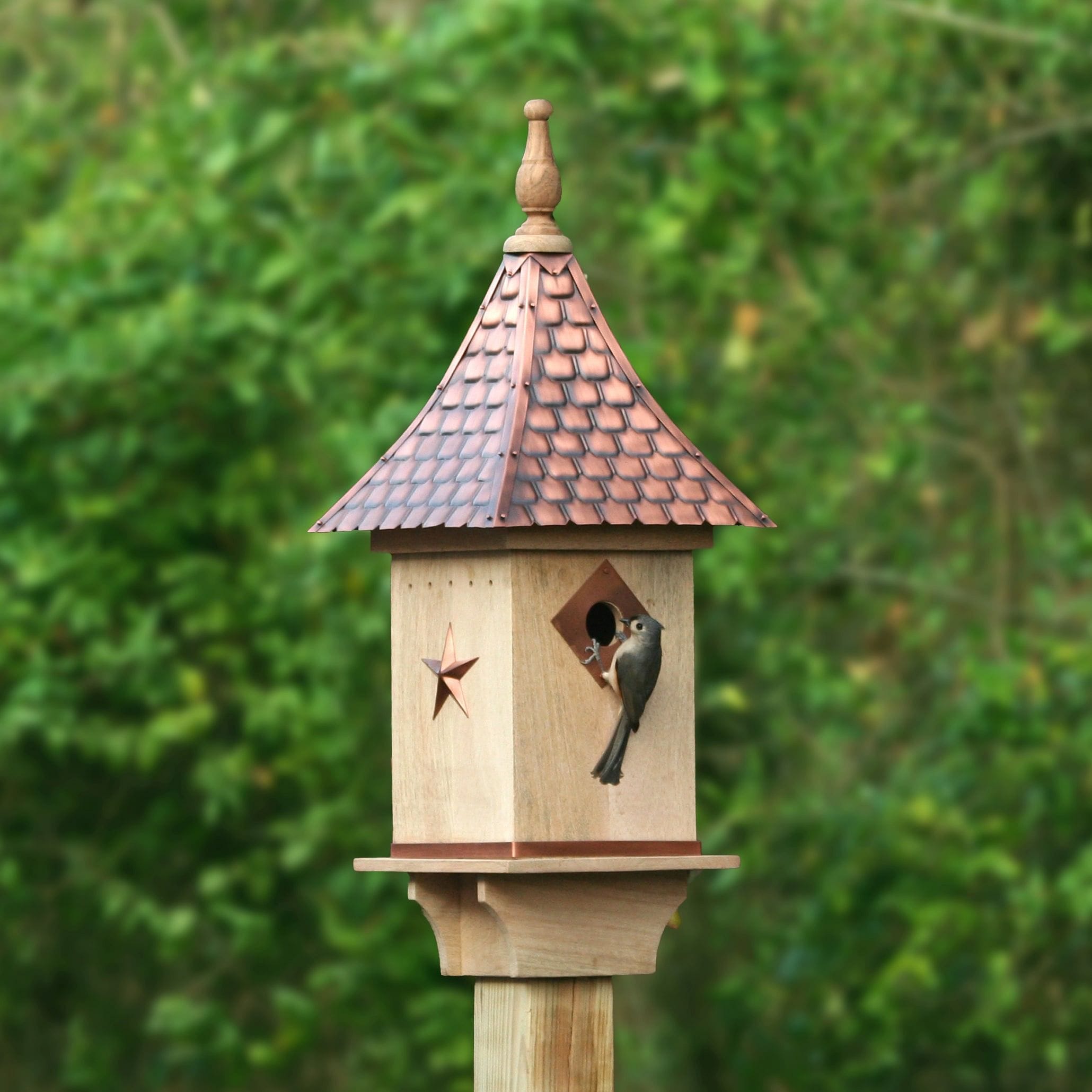Bird Houses